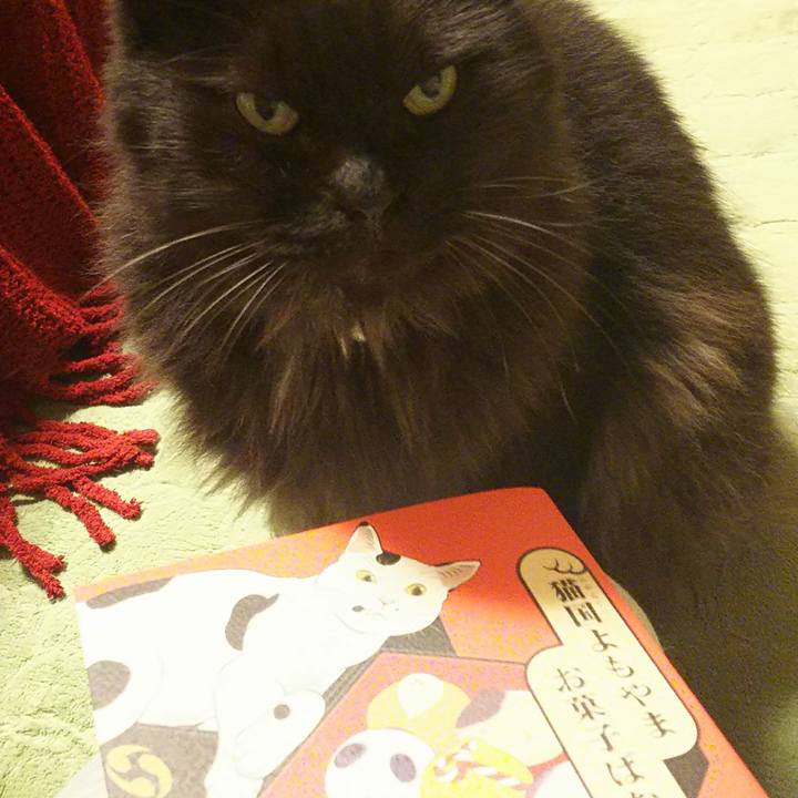 80300945 3e14 4c90 b467 b390cc92cdeb 1509104171543