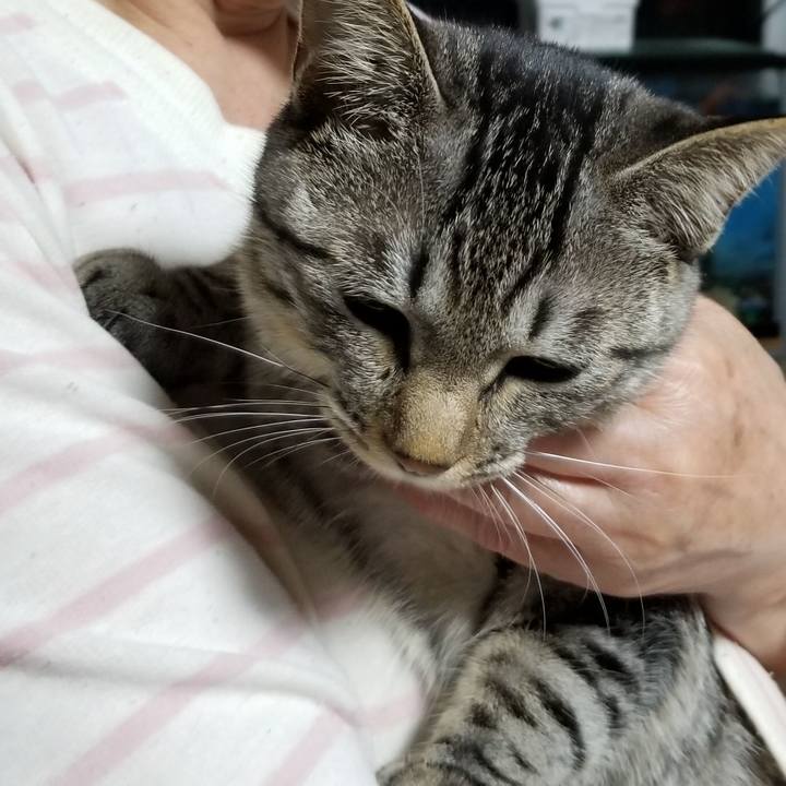 8030377c 0e36 4ae9 9ceb a9bfb09a23b1 1673650417803