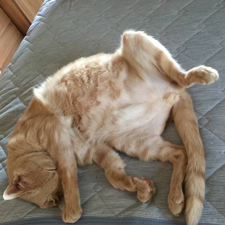 80304616 5e6d 40cc a0a7 e64f0e568e88 1599175675106