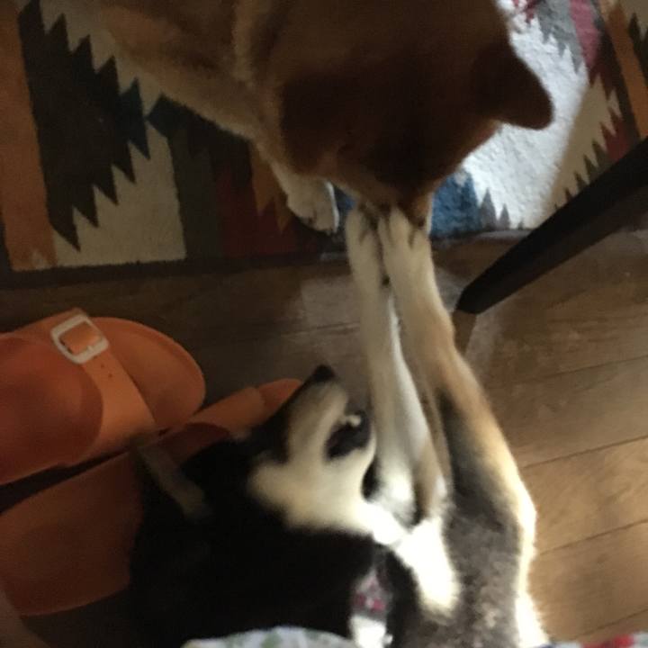 8030a2b6 7d29 466a be44 b8ae277d491f 1532146679958