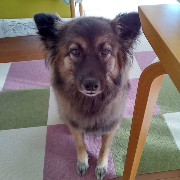 8030d08b 4019 416a afd1 1323d22358c0 1762650308421