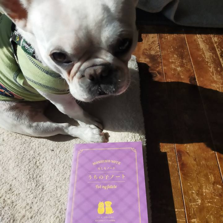 8030d521 98d8 4cba b6b0 27a7b6327970 1636084231886