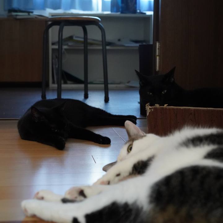 8030e1a7 39b9 4ef1 9fce 3bc1341d237a 1567519362280