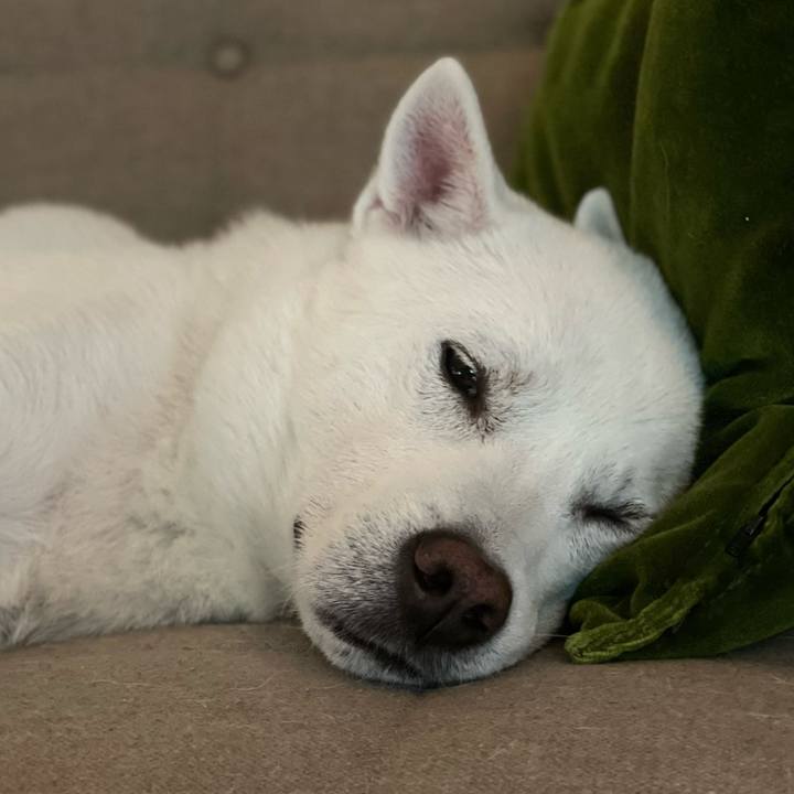 8030f1a2 bacf 4833 83bb 6dd299896936 1649338214359