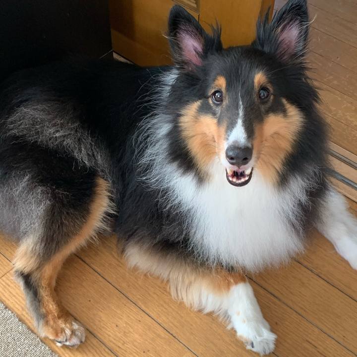 80310041 fc12 4bf4 9bde da5a4f07c1ce 1596407828893