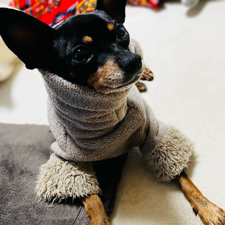 8031047c 8a7b 4ab8 97fd e4314944b79d 1738964568374