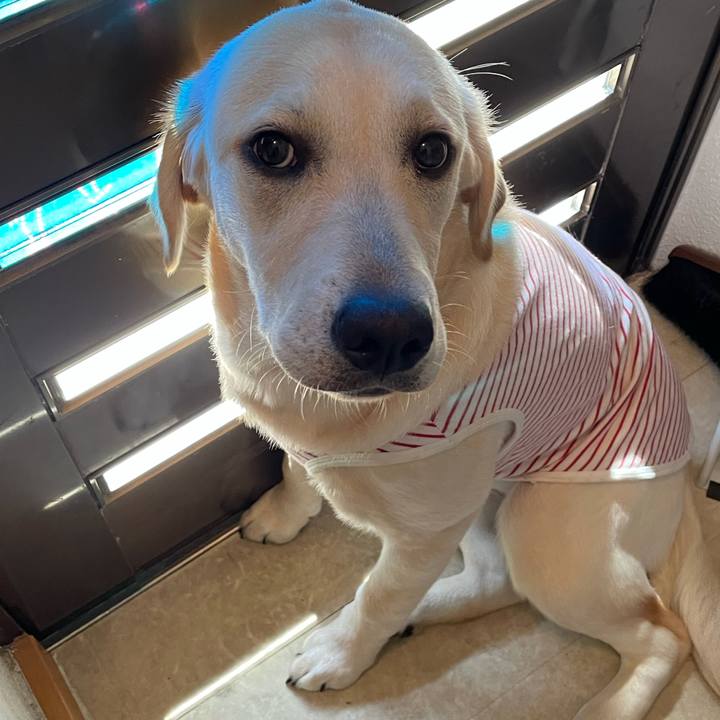 803112e9 96a7 45aa 952a 9859f9d60e52 1622510057837