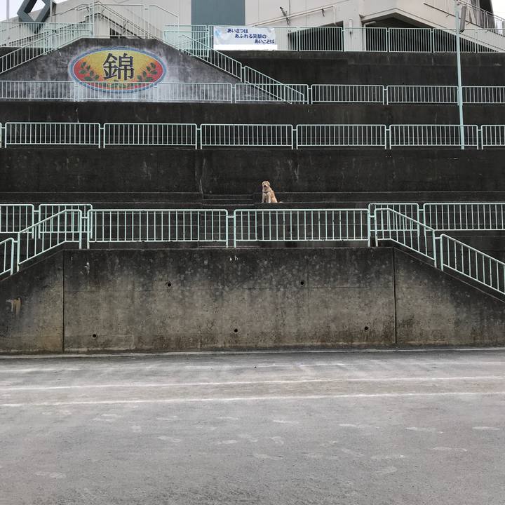 8031328a 948d 41f6 a622 a657d078c7e3 1563696242748