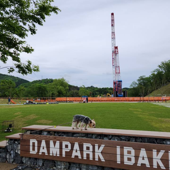 80313de6 49b1 40e5 824e a23779781e39 1714196540403