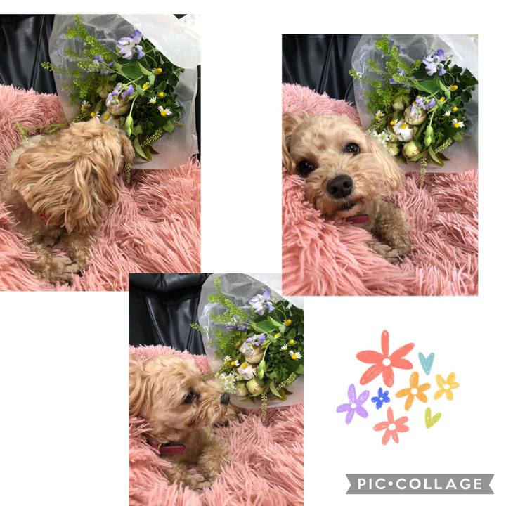 803157ea 9fb3 4016 af3e e2949ed663dc 1684683052716