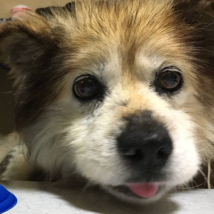 80315c46 072a 4e41 b00d c5e6db0ed26e 1615098890719