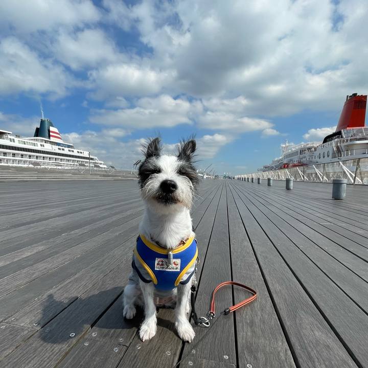 803189ce cfbb 4dfd bdf2 7814be76387c 1632217335497