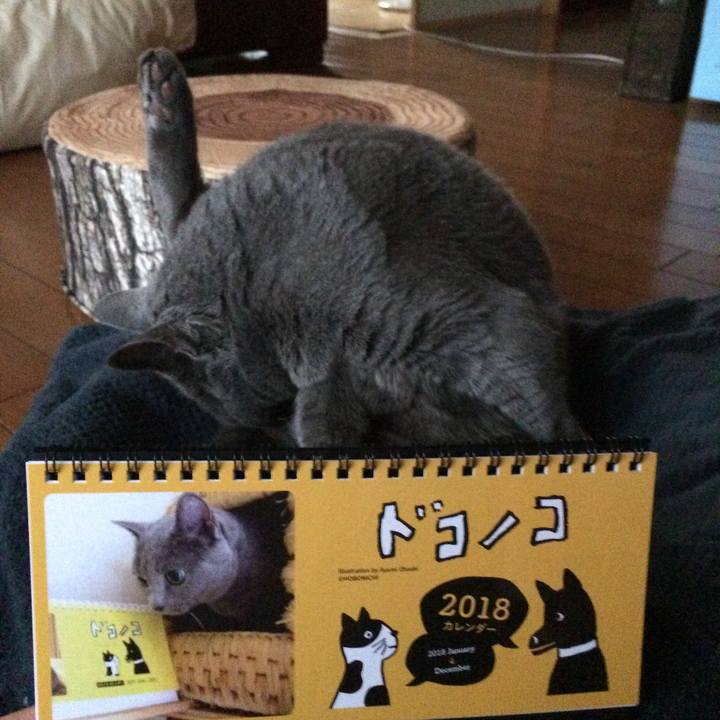 8031c230 7c00 4550 9f31 037aed6758b1 1510990159350