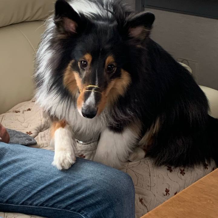 8031fbde 8c2e 487b 84b9 5493c1cdd384 1588545653555