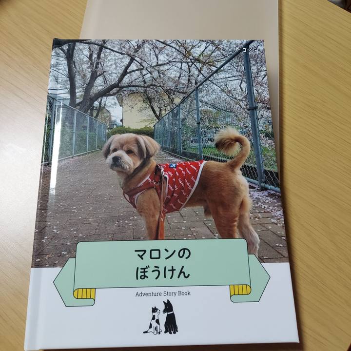 80322aad 1df1 4c78 a8d5 33cd67be1a5c 1632581400954