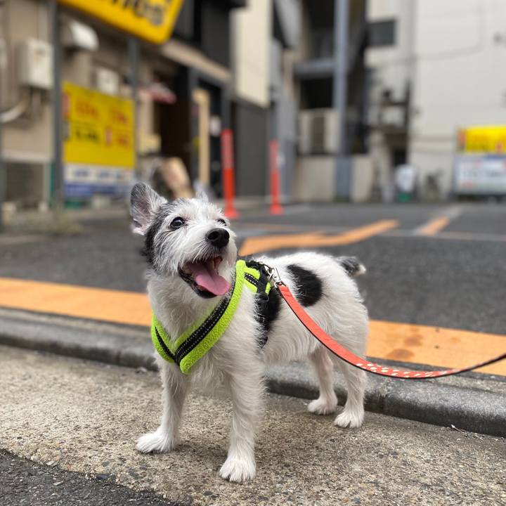 80323765 bee2 427a a4e4 451eff89b002 1596545087806