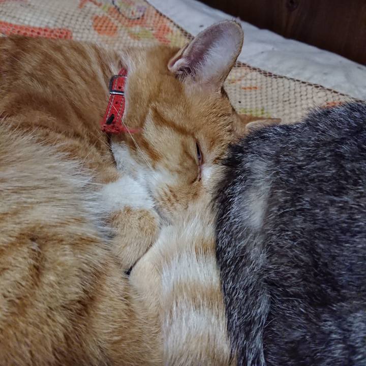 80324875 8801 4030 9d8d fce1d70539e1 1572962549966