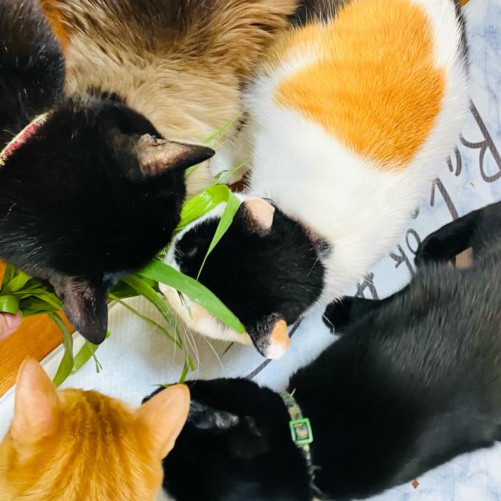 80325a7a f46b 416a a1d1 222083511d51 1718539867952