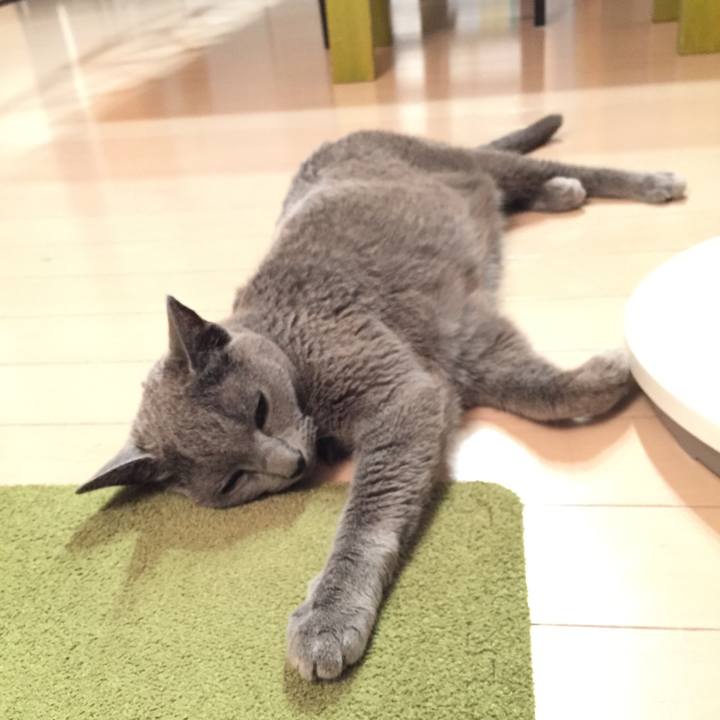 80326b71 73e7 4634 b52c 6cffaa09778c 1530244352286