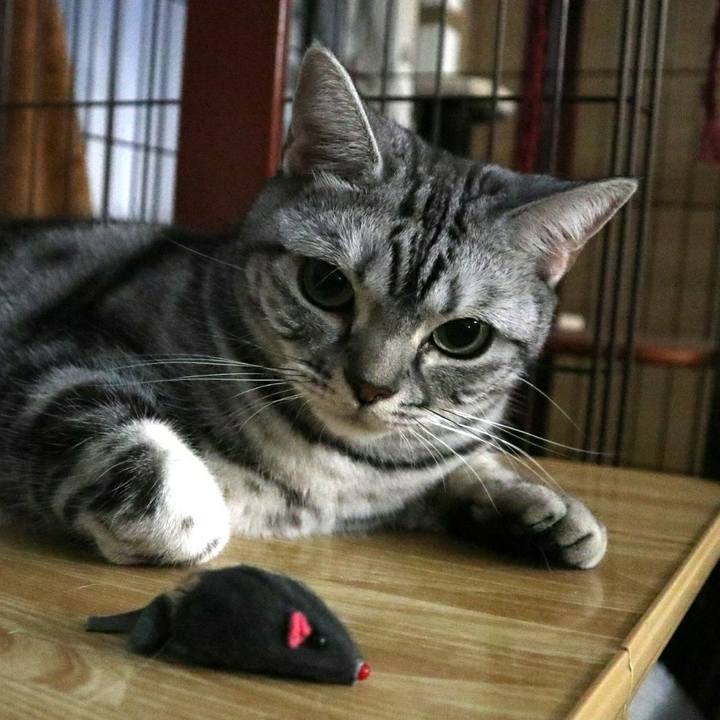 8032850c 5ff0 4fa1 b7ef 8119a2fc07a2 1602409549593