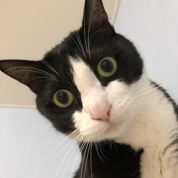 803299b4 345e 4455 90d0 57e60ba80b90 1560077456293