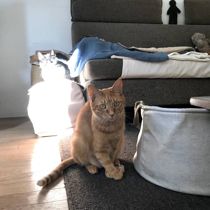 8032d317 3169 4198 af8b 971e32793e6f 1552873478749