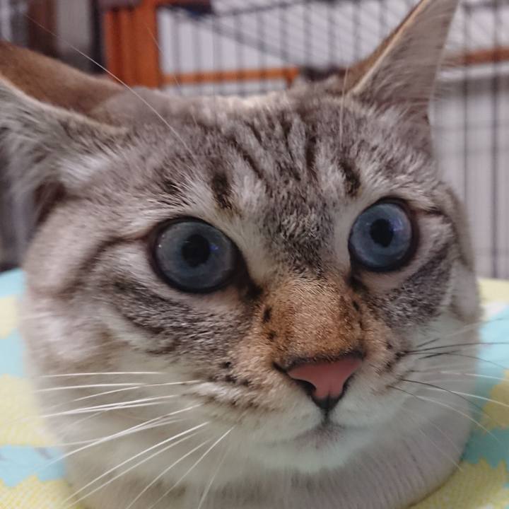 8033204b 4177 40fd bc97 204ba9a9ee0b 1517059289323