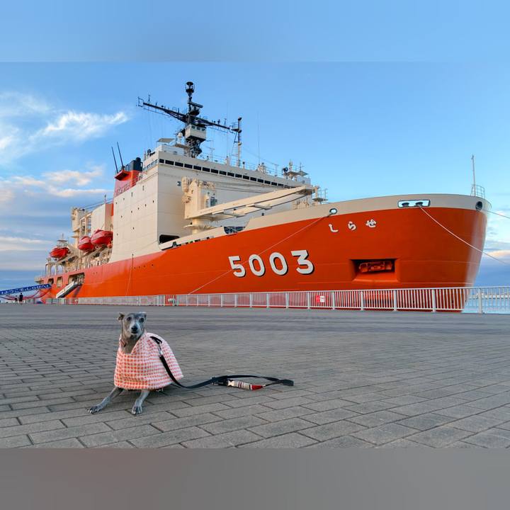 803320ca 29c0 43d1 af10 e465c6dba39f 1760141907536