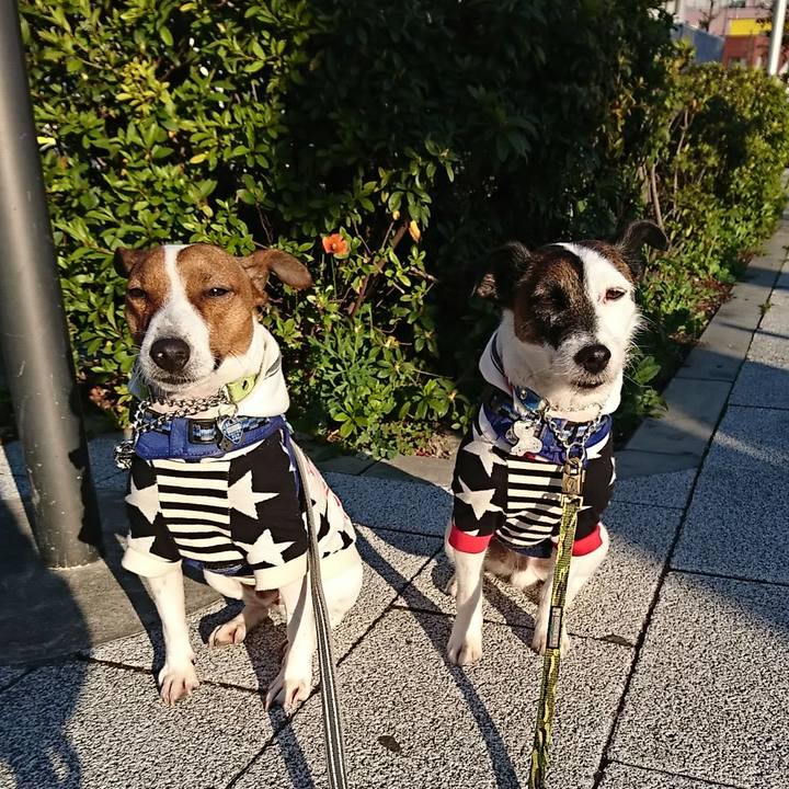 8033218b 3eff 4e7e 8b74 d39cf1d03abe 1554328615984