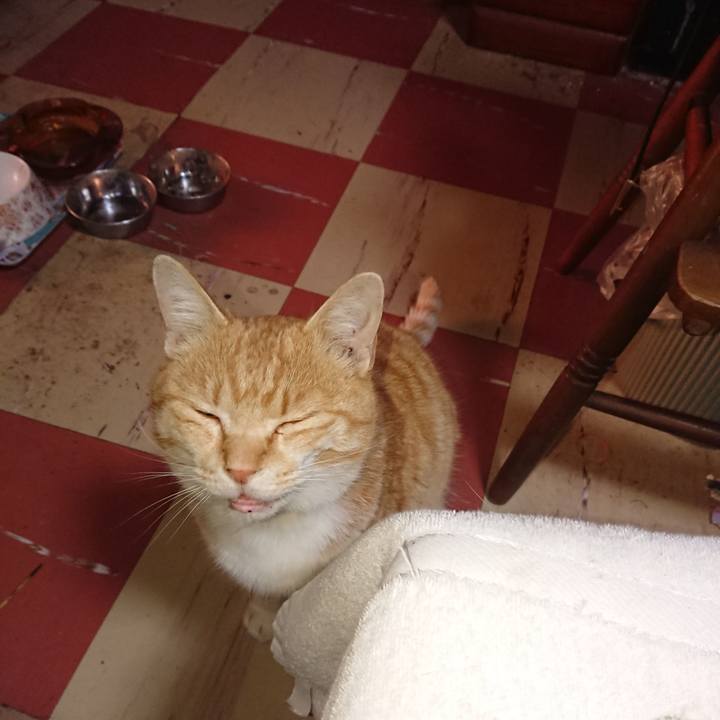 80337107 5475 48f3 a4f8 93964ec3441e 1585861064628