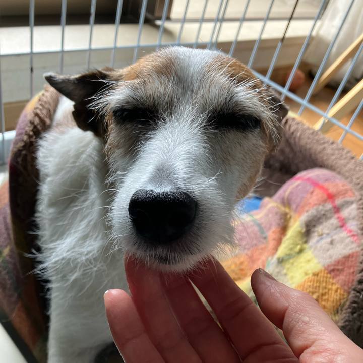 8033bbd9 d3a7 44d6 8041 41c749967126 1663893017699