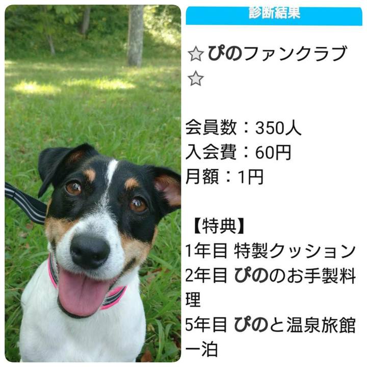 8033c067 7359 4bc2 a8d6 0de2f491858c 1568366202952