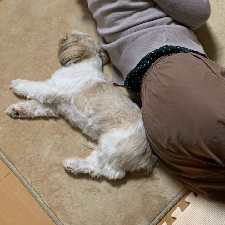 8033d29b ee78 4bca b8d9 392fc200cf0e 1580739644622