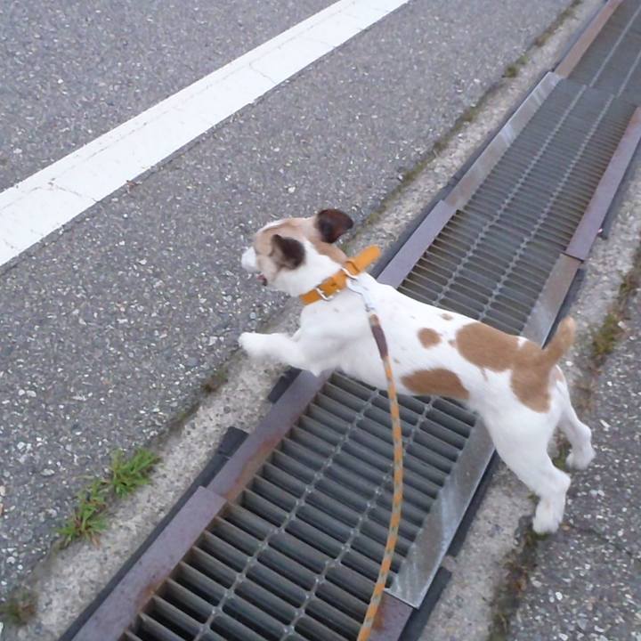 8033ff77 476f 4d13 a28d 6ad1094ff3f5 1530356168776