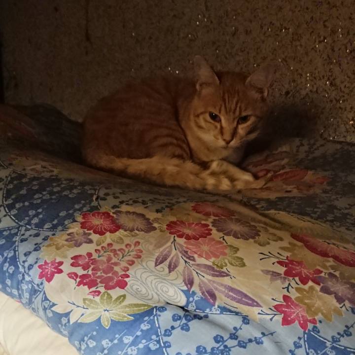 80341726 a54a 41a3 90cb 355b9774115e 1593435521216