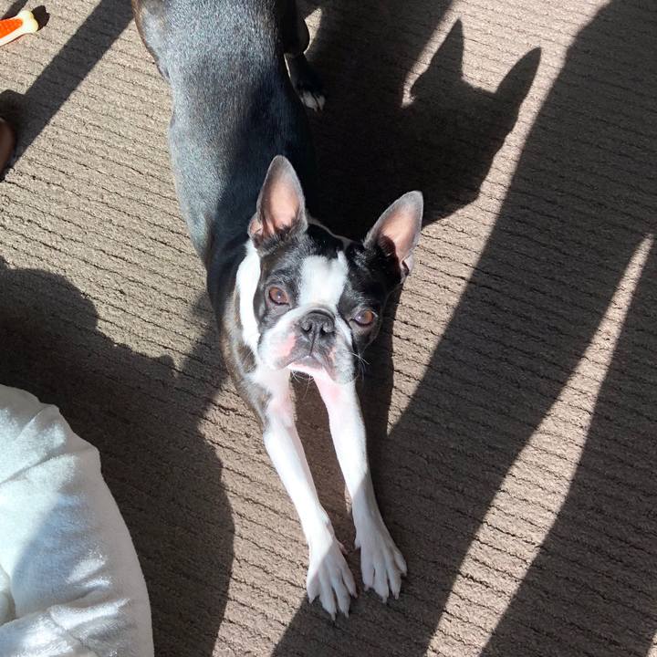 80341cb4 2ca0 4801 85e3 8a1d426e6f50 1515895582984