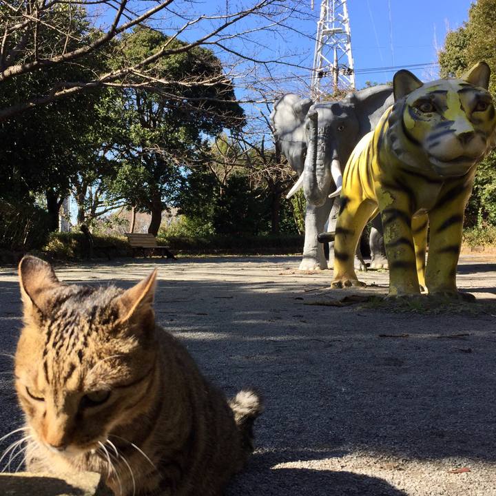 8034217d 7fa1 40cf 9a2a 0ea3eb1c08a2 1580972602951