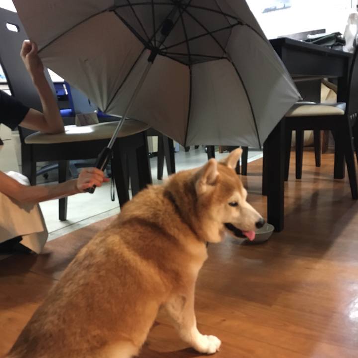 80348583 d442 43c7 a2db 8e85a85319ce 1530323669644