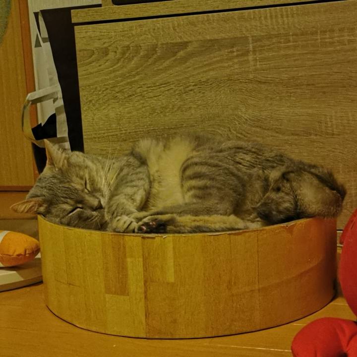 80348e84 28df 4da5 abb2 aa1c0a09aa83 1658200963635