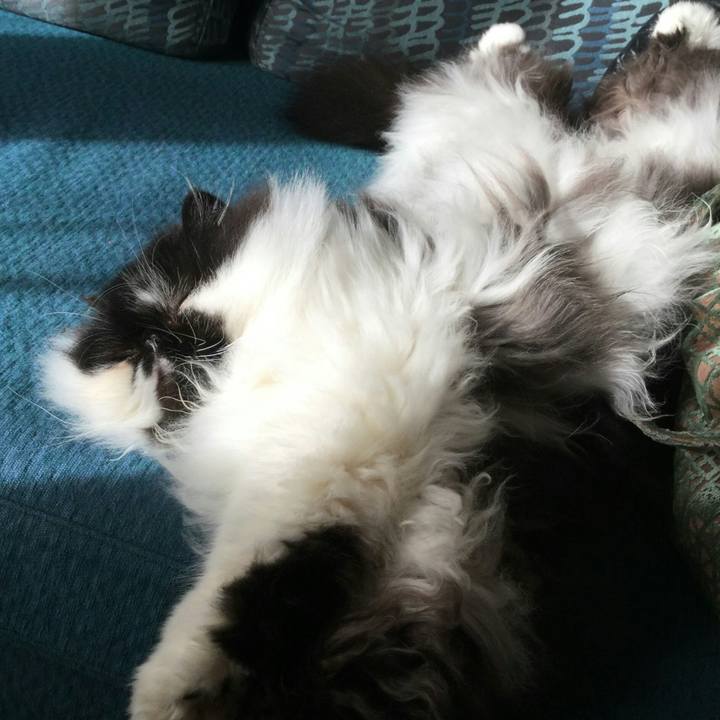 8034e62c b0f9 43d6 91f1 2c01a7873926 1513385153110