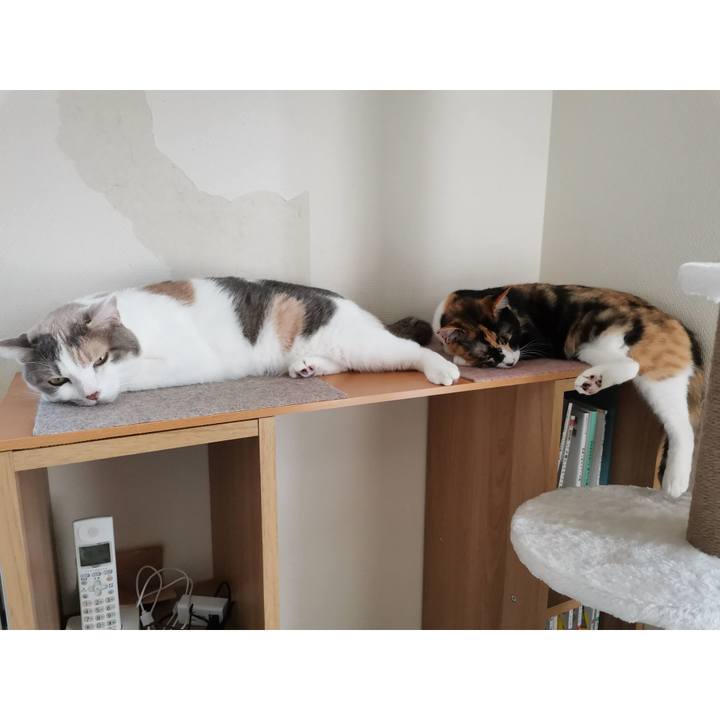 8034e98e 6592 469e adf6 aa6d59c9ee0a 1630570945315