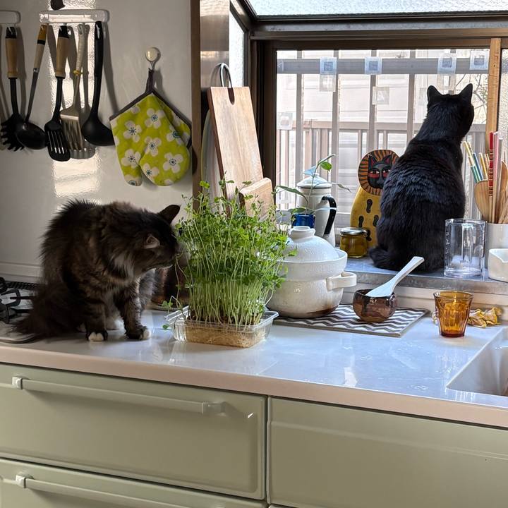 80354bf1 c344 45d3 afe5 29f97c1521d2 1774329120264