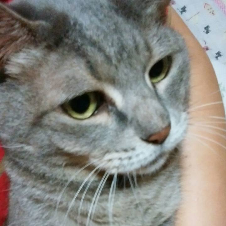 80354ff4 dd9d 4d50 8d8d bbd81cb7a17e 1571399641345