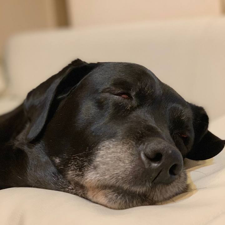 80355b33 a896 41b9 8192 7b6c3c5c8c84 1552450823992