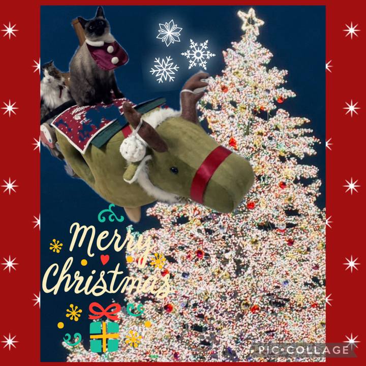 8035843b 2ebf 4841 89f5 1ced65deed38 1766565985292