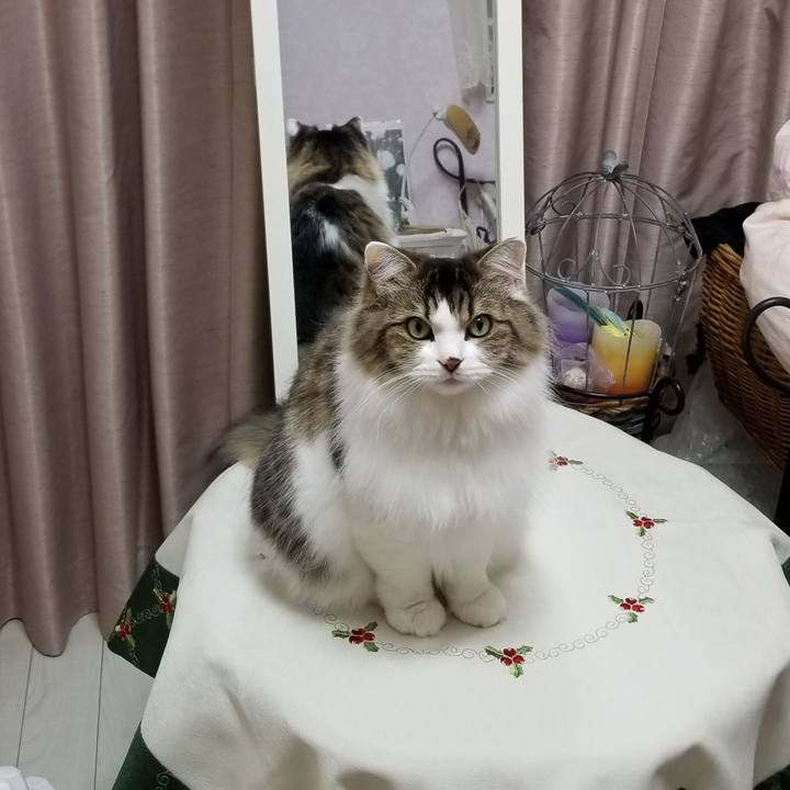 8035c46a 99a7 450c b442 8213358cad6b 1575203330483