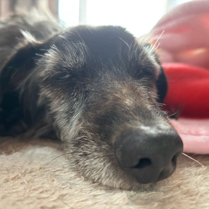 8035d3c5 1f0b 439f ac16 799217259ad3 1764286324773