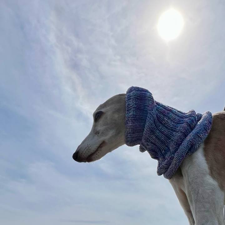 8035ef6a a9a7 423f a0c0 47d17b76b221 1775982382607