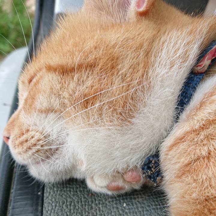 8036356f 3d8a 4c27 8272 d6aefb43e506 1565597838022