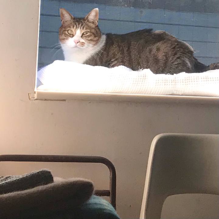 803645c1 9d7f 4a39 a65c d2ccdaea30f2 1614214757445